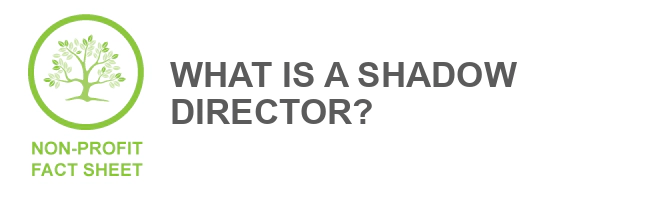What is a shadow director